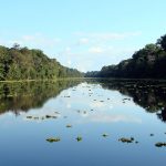 Pacaya Samiria National Reserve Tours | Amazon Expedition