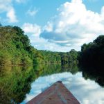 Pacaya Samiria National Reserve Tours | Amazon Expedition